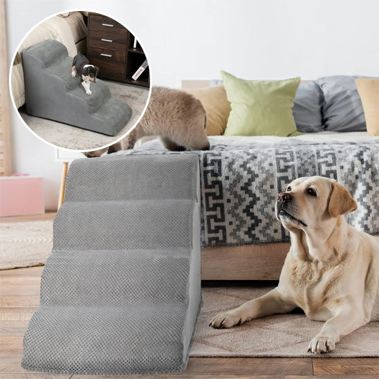 Escalier pour chien