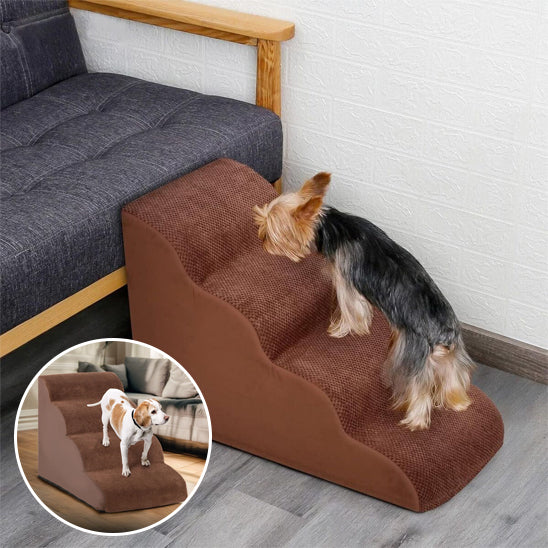 Escalier pour chien