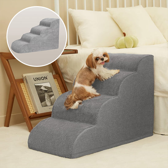 Escalier pour chien